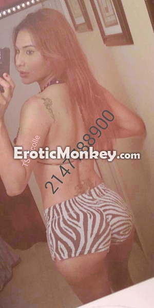 Dallas texas escorts reviews Massage Parlors, MPReviews